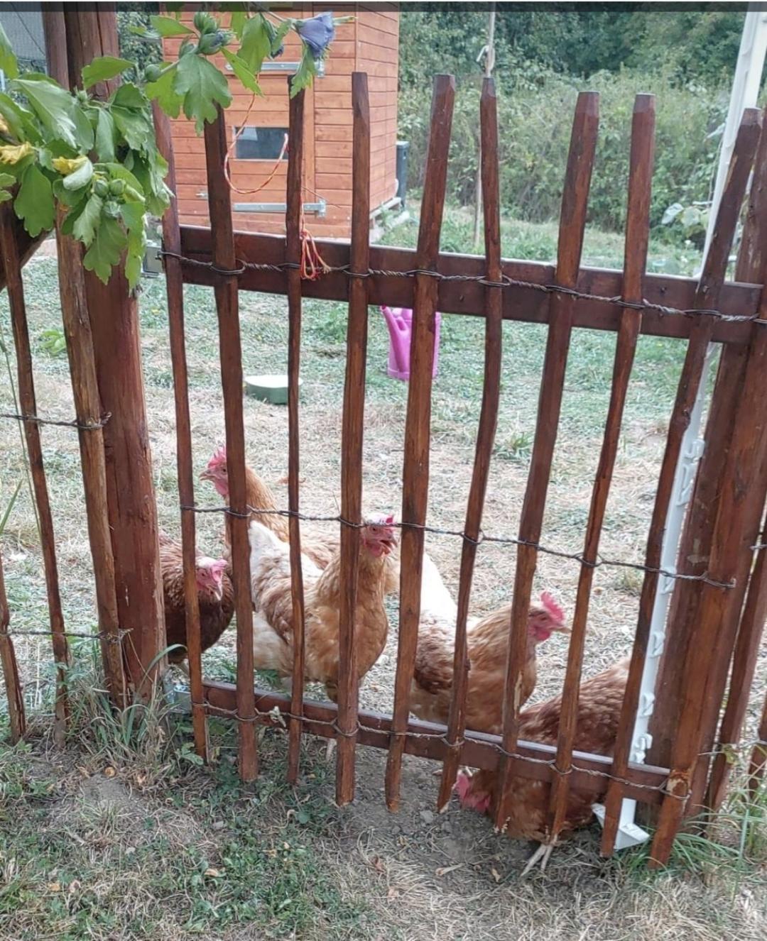Sometimes Zimmer Gehaichnishof 7Born Maring-Noviand Buitenkant foto